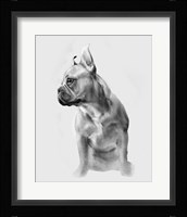 Pug Portrait II Fine Art Print