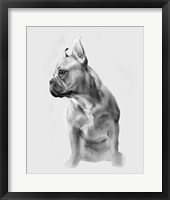 Pug Portrait II Fine Art Print