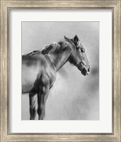 Charcoal Equine Portrait I Fine Art Print