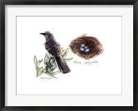 Bird & Nest Study I Fine Art Print