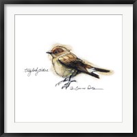 Songbird Study I Fine Art Print