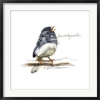 Songbird Study VI Fine Art Print