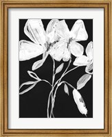 White Whimsical Flowers I Fine Art Print