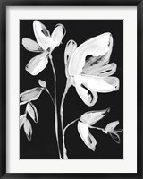 White Whimsical Flowers II Fine Art Print