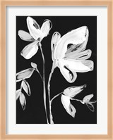 White Whimsical Flowers II Fine Art Print