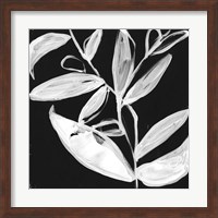 Quirky White Leaves I Fine Art Print