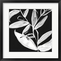 Quirky White Leaves I Fine Art Print