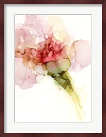 Flower Passion II Fine Art Print