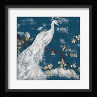 White Peacock on Indigo I Framed Print
