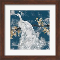 White Peacock on Indigo II Fine Art Print