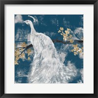 White Peacock on Indigo II Framed Print