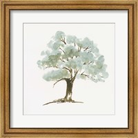 Mint Tree I Fine Art Print
