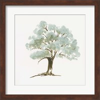 Mint Tree I Fine Art Print
