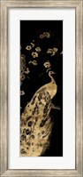 Gilded Peacock Triptych III Fine Art Print