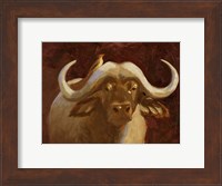 Cape Buffalo I Fine Art Print