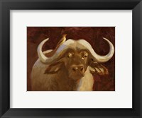 Cape Buffalo I Fine Art Print