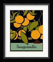 Euro Poster IV Framed Print