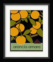 Euro Poster V Framed Print