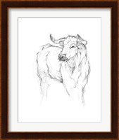 Bull Study I Fine Art Print