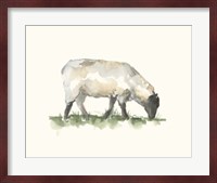 Grazing Farm Animal III Fine Art Print
