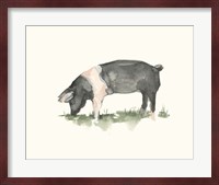 Grazing Farm Animal IV Fine Art Print