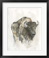 American Buffalo I Framed Print