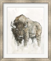 American Buffalo II Fine Art Print