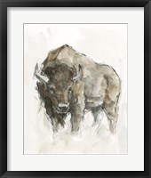 American Buffalo II Framed Print