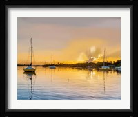 In the Golden Light IV Fine Art Print