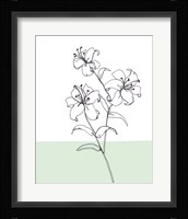 Sweet Stems II Framed Print
