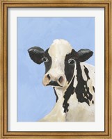 Cow-don Bleu III Fine Art Print