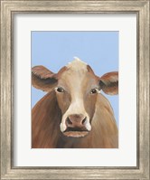 Cow-don Bleu IV Fine Art Print