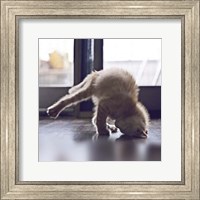 Cat Yoga X Fine Art Print