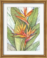Tropical Botanical Paradise I Fine Art Print