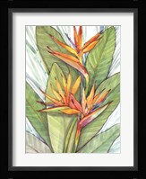 Tropical Botanical Paradise I Fine Art Print