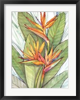 Tropical Botanical Paradise I Fine Art Print