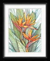 Tropical Botanical Paradise II Fine Art Print