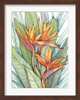 Tropical Botanical Paradise II Fine Art Print