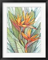 Tropical Botanical Paradise II Fine Art Print