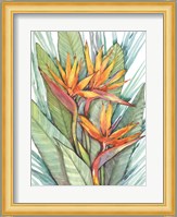 Tropical Botanical Paradise II Fine Art Print