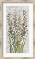 Patch of Wildflowers II Fine Art Print