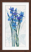 Blue Iris Panel I Fine Art Print