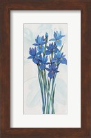 Blue Iris Panel II Fine Art Print