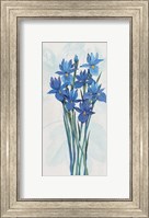 Blue Iris Panel II Fine Art Print