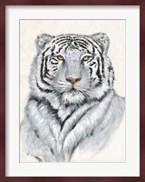 White Tiger I Fine Art Print