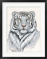 White Tiger I Fine Art Print