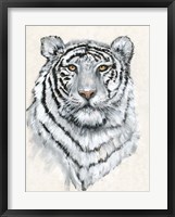 White Tiger II Fine Art Print