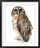 Watercolor Owl I Fine Art Print