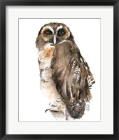 Watercolor Owl I Framed Print