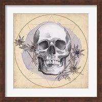 Skull Thistle I Fine Art Print